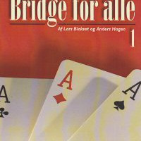 Bridge for alle 1