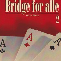 Bridge for alle 2