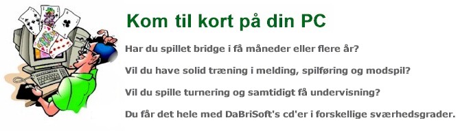 DaBriSoft brige spil